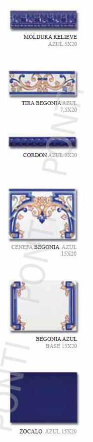 Begonia Azul 15x20