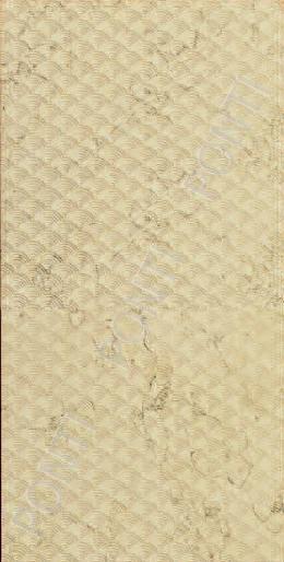 Gold collection White Shell 30x60